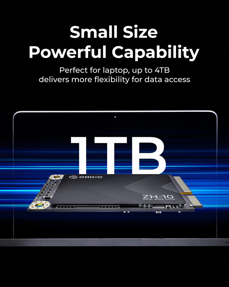 ORICO ZH10 1TB MSATA SSD