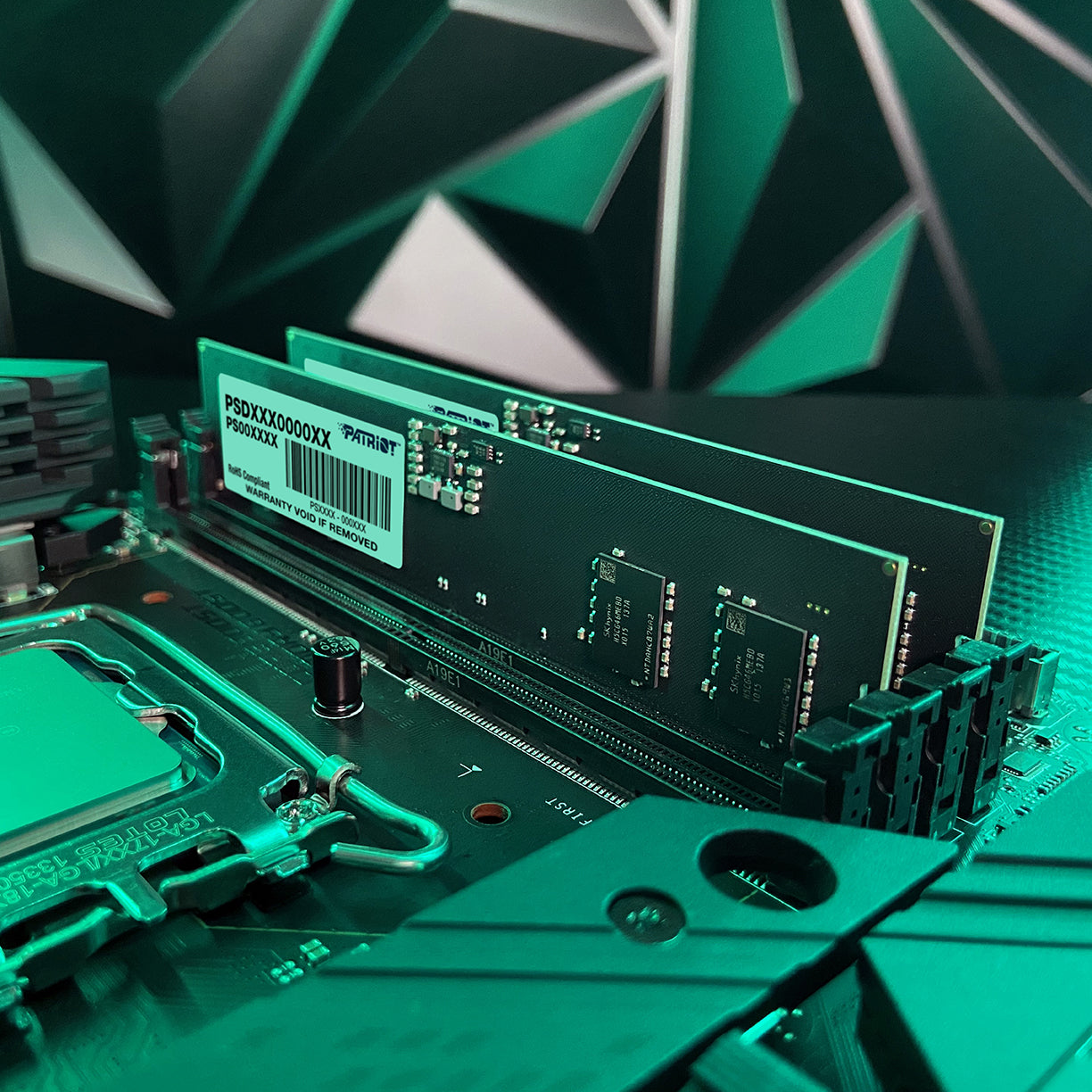 64GB (2x32) Patriot Signature Line 5600mhz DDR5 DIMM RAM