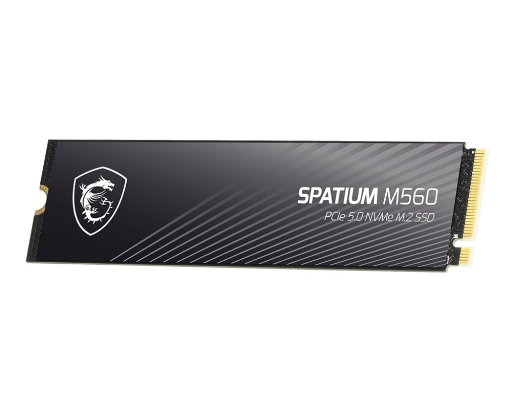 MSI Spatium M560 1TB 10,200MB/s PCIe 5.0 M.2 2280 NVMe SSD