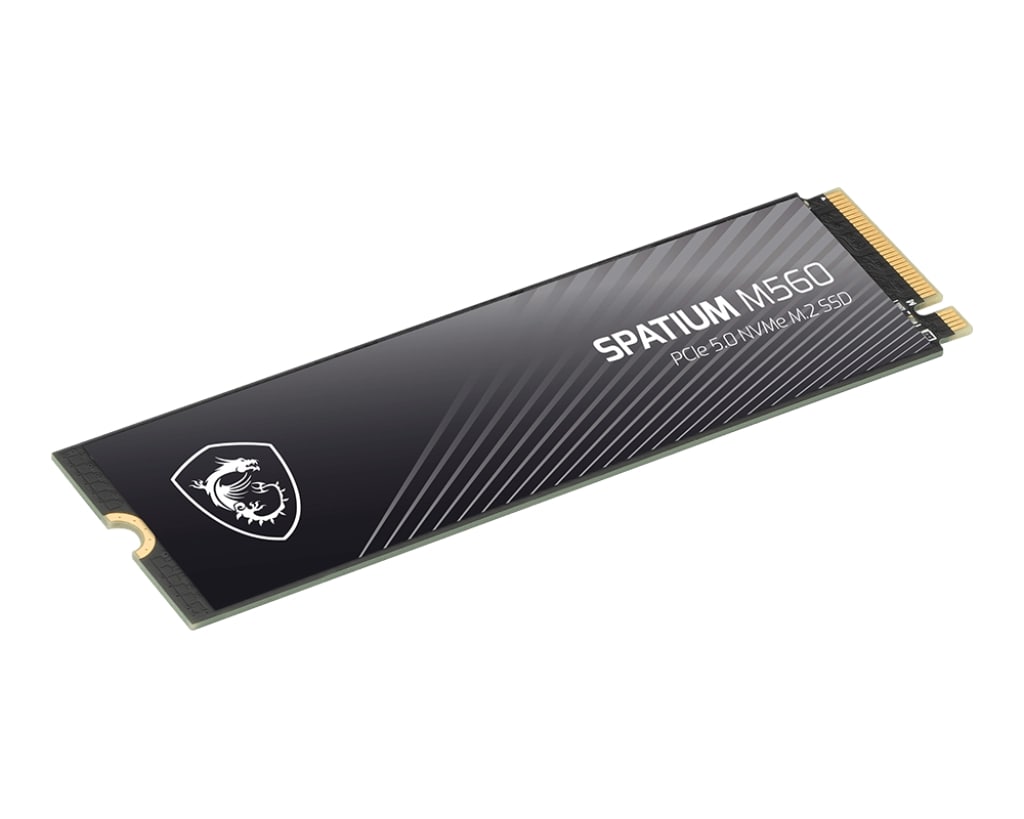 MSI Spatium M560 1TB 10,200MB/s PCIe 5.0 M.2 2280 NVMe SSD