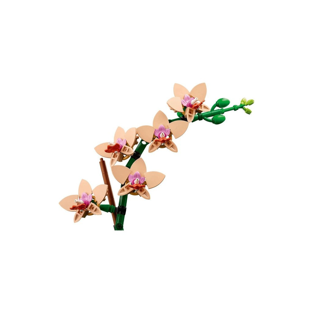 LEGO Botanicals 10343 Mini Orchid