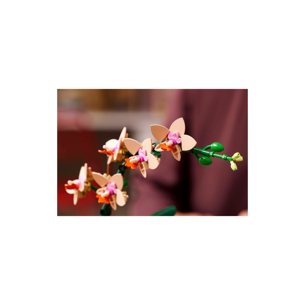 LEGO Botanicals 10343 Mini Orchid