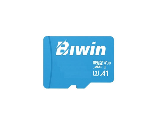 Biwin MS100 256GB V30 microSD Card