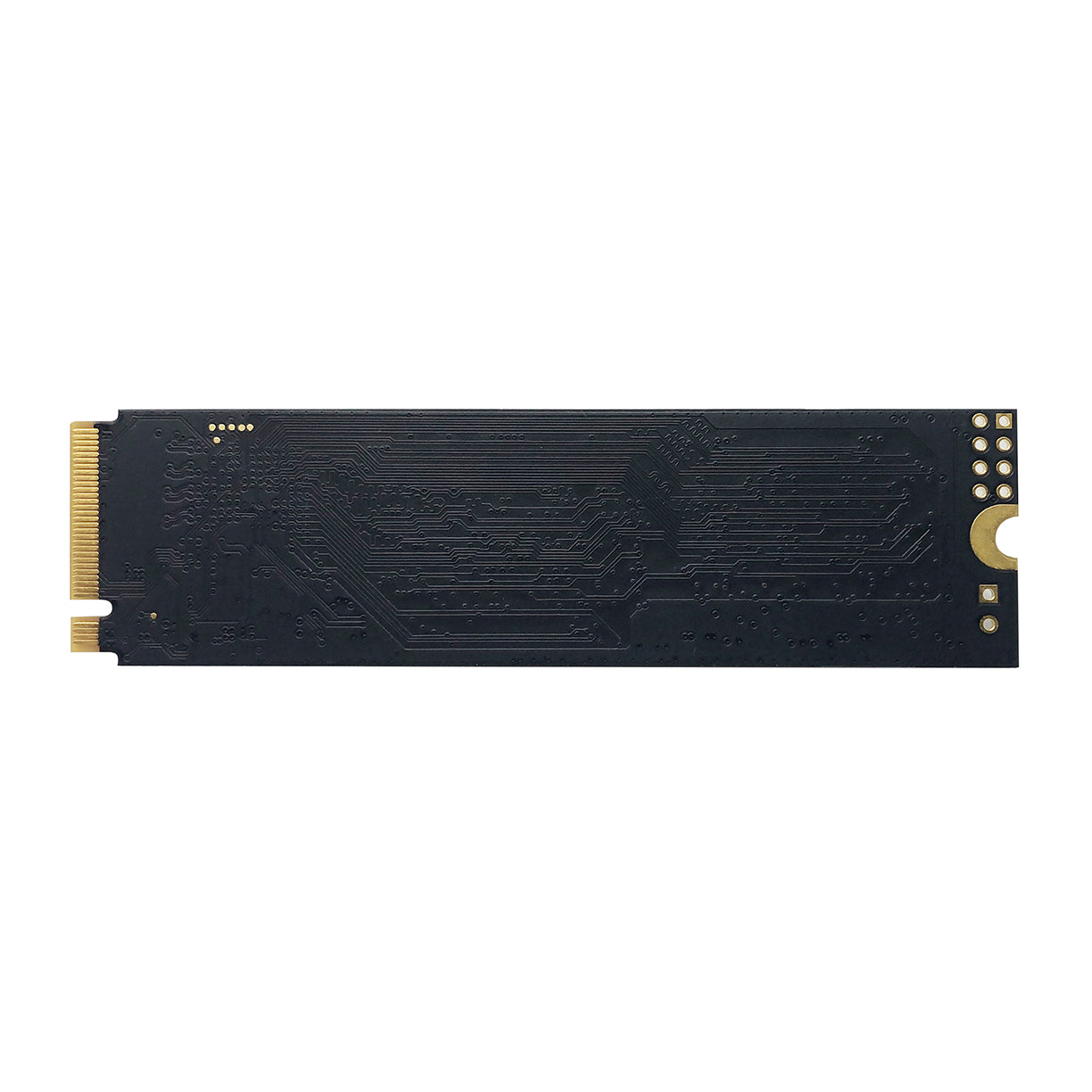 Patriot P300 2TB M.2 NVMe SSD 5Yr Wty