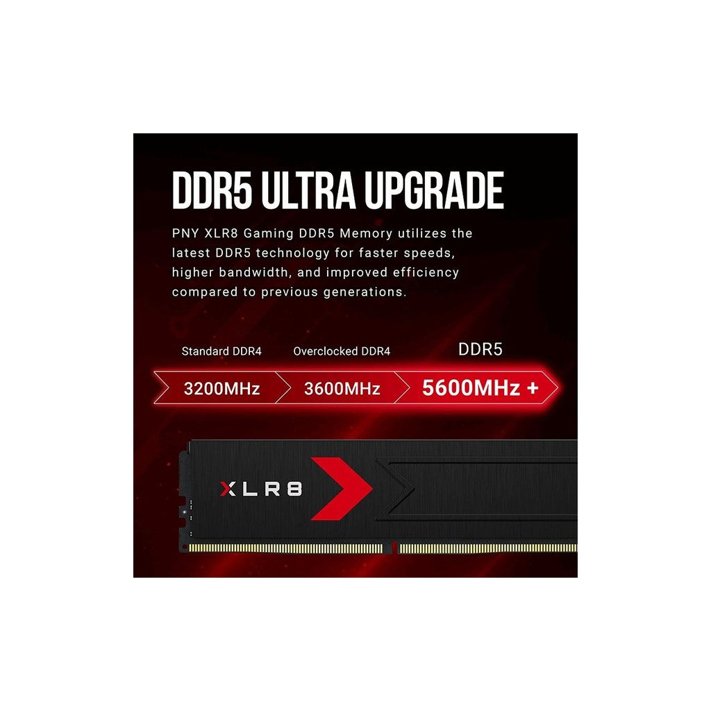 64GB (4x16) PNY XLR8 5600mhz CL46 DDR5 DIMM RAM